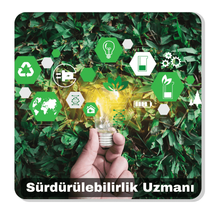 sürdürülebilirlik uzmanı