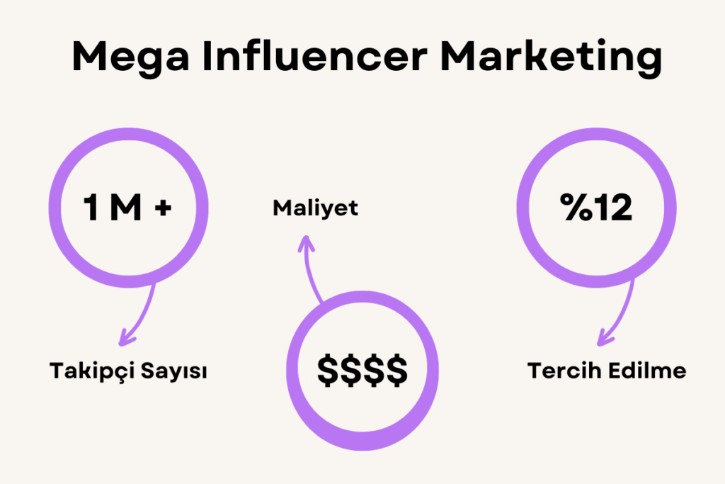 mega influencer marketing